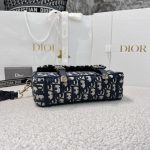 dior camp oblique embroidery 10
