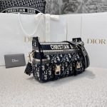 dior camp oblique embroidery 3