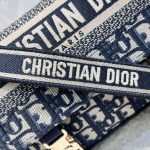 dior camp oblique embroidery 4