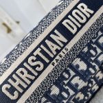 dior camp oblique embroidery 7