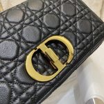 dior caro bag black 9