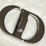 dior caro bag white gunmetal 8