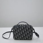 dior caro box bag cd print 4