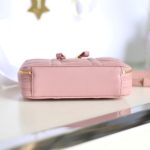 dior caro box bag pink 7