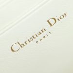 dior caro box bag white 9