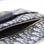 dior double bag oblique 10