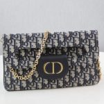 dior double bag oblique 2