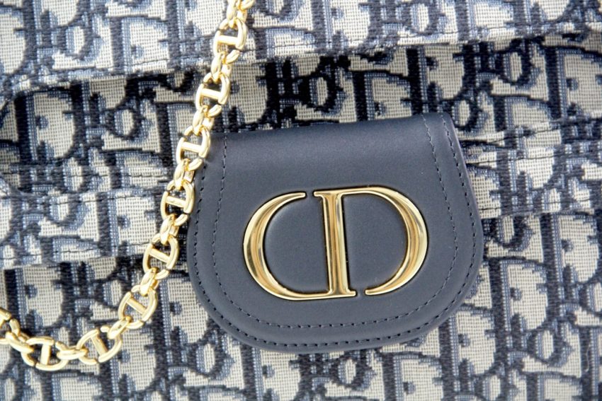 dior double bag oblique 4