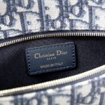 dior double bag oblique 5