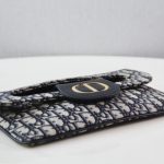 dior double bag oblique 8
