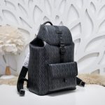 dior hit the road backpack diamond black 9