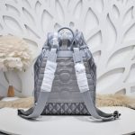 dior hit the road backpack diamond grey 6