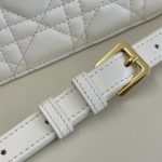 dior jolie top handle white 8