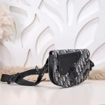 dior messenger oblique 10