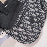 dior messenger oblique 5