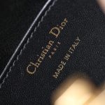 dior miss caro noire clutch 4