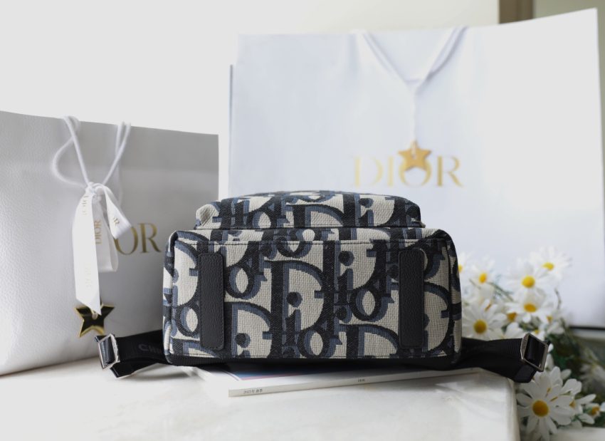 dior rider backpack beige 4