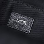 dior rider backpack beige 7