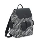 dior saddle backpack beige 3