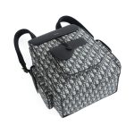 dior saddle backpack beige 4