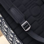 dior saddle backpack with flap classic 3