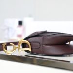dior saddle bag bordeaux 2