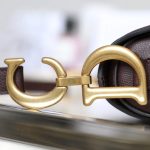 dior saddle bag bordeaux 8