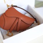 dior saddle bag brown 2