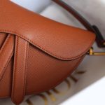 dior saddle bag brown 3