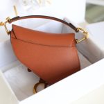 dior saddle bag brown 5