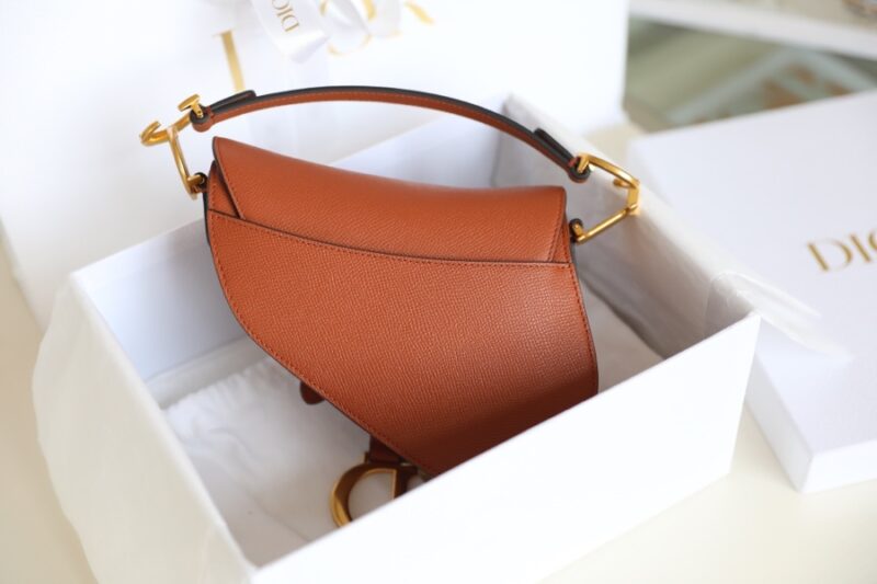 dior saddle bag brown 5