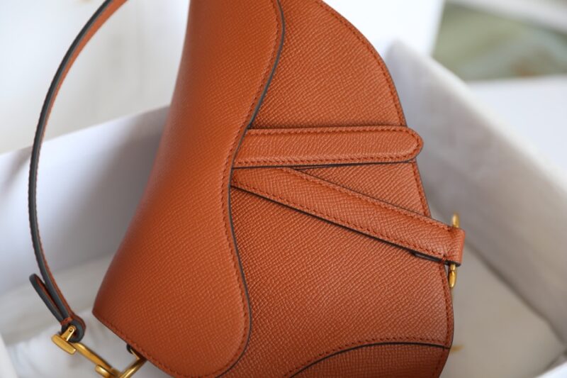 dior saddle bag brown 6