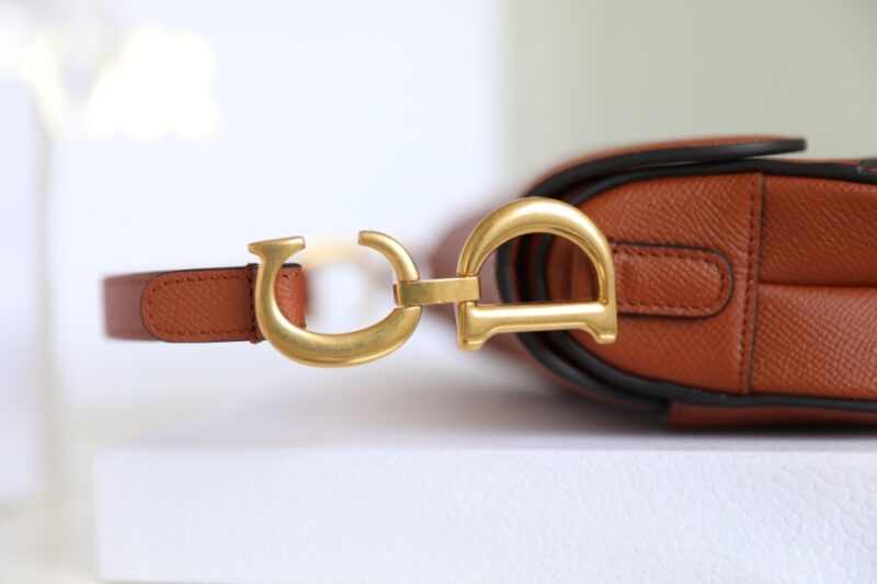 dior saddle bag brown 7