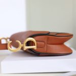 dior saddle bag brown 8