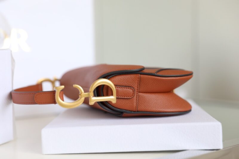 dior saddle bag brown 8