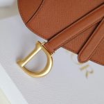 dior saddle bag brown 9