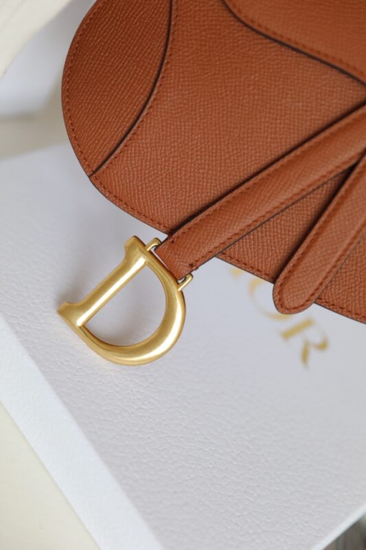 dior saddle bag brown 9