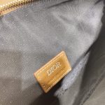 dior saddle bag brown triangle 3