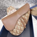dior saddle bag brown triangle 4