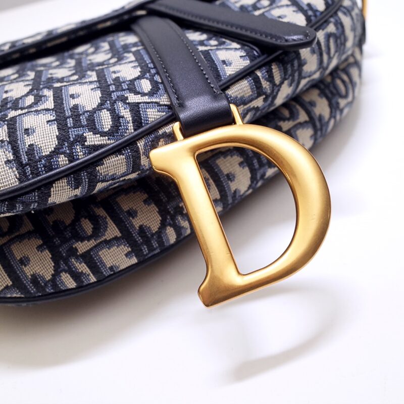 dior saddle bag cd canvas 2