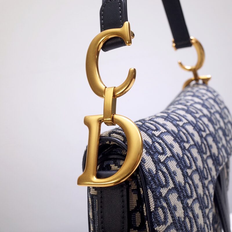 dior saddle bag cd canvas 4