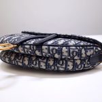 dior saddle bag cd canvas 5
