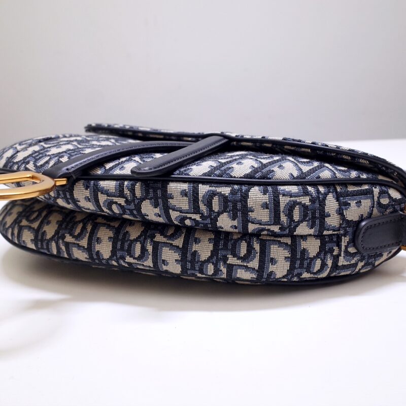 dior saddle bag cd canvas 5