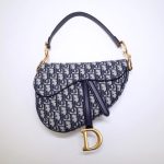 dior saddle bag cd canvas 6