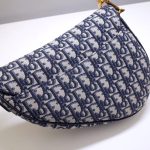 dior saddle bag cd canvas 7