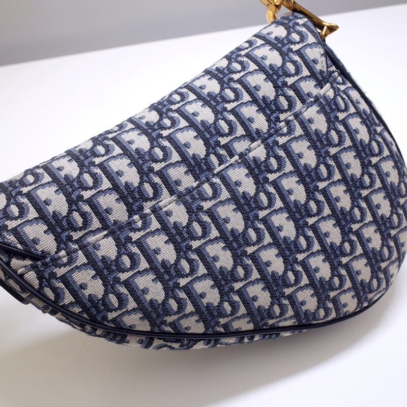 dior saddle bag cd canvas 7
