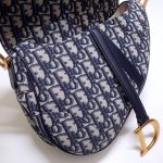 dior saddle bag cd canvas 8