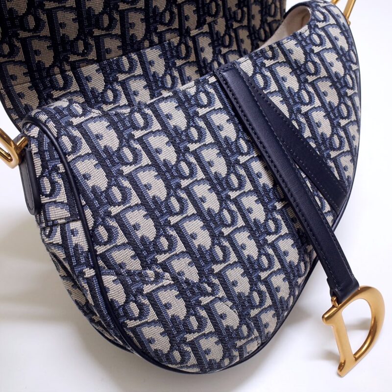 dior saddle bag cd canvas 8