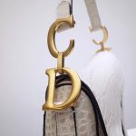 dior saddle bag crocodile white 5