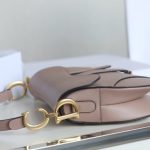 dior saddle bag nude 2